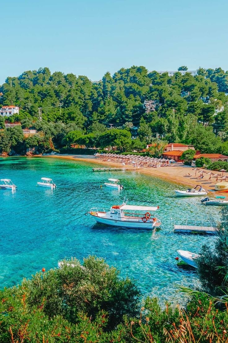 This may contain: several boats are anchored in the clear blue water near an island with trees and houses