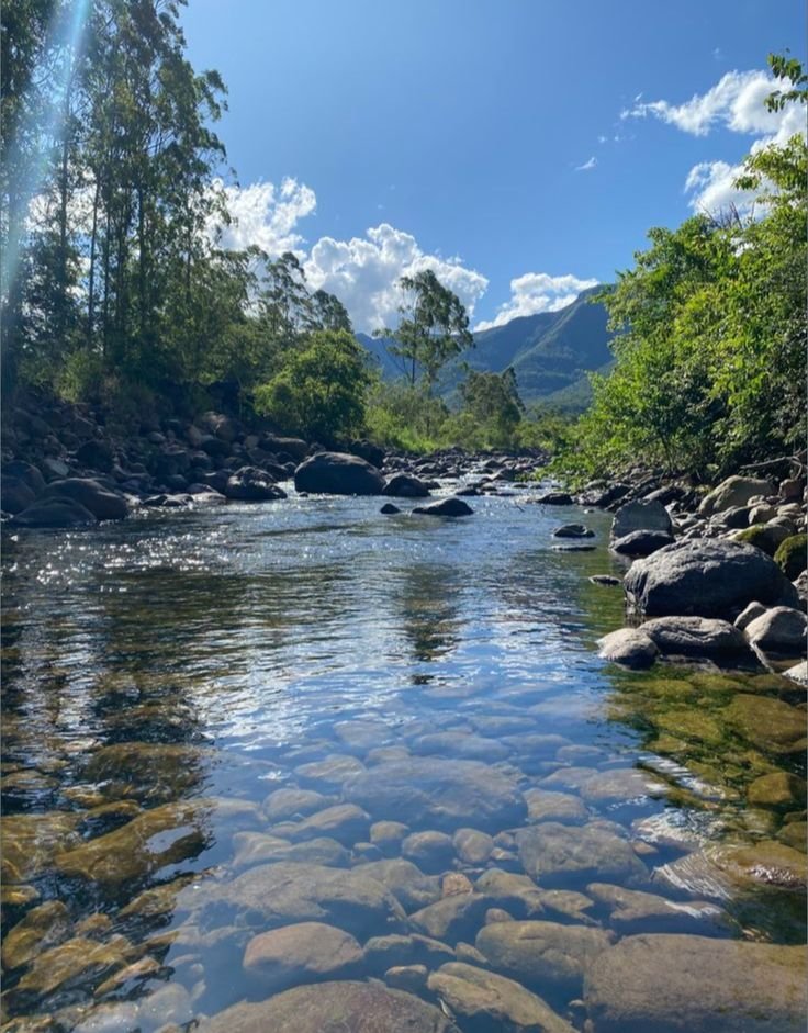 This may contain: a river with rocks and trees in the background