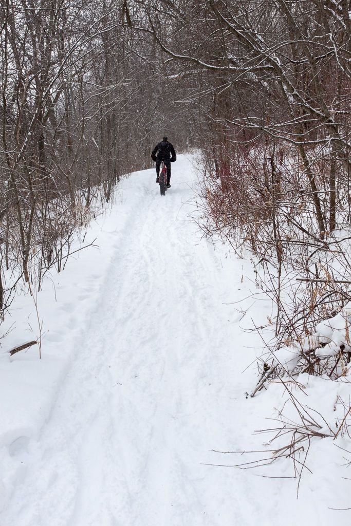 This may contain: a person riding a snow bike on a snowy path in the woods with trees and bushes