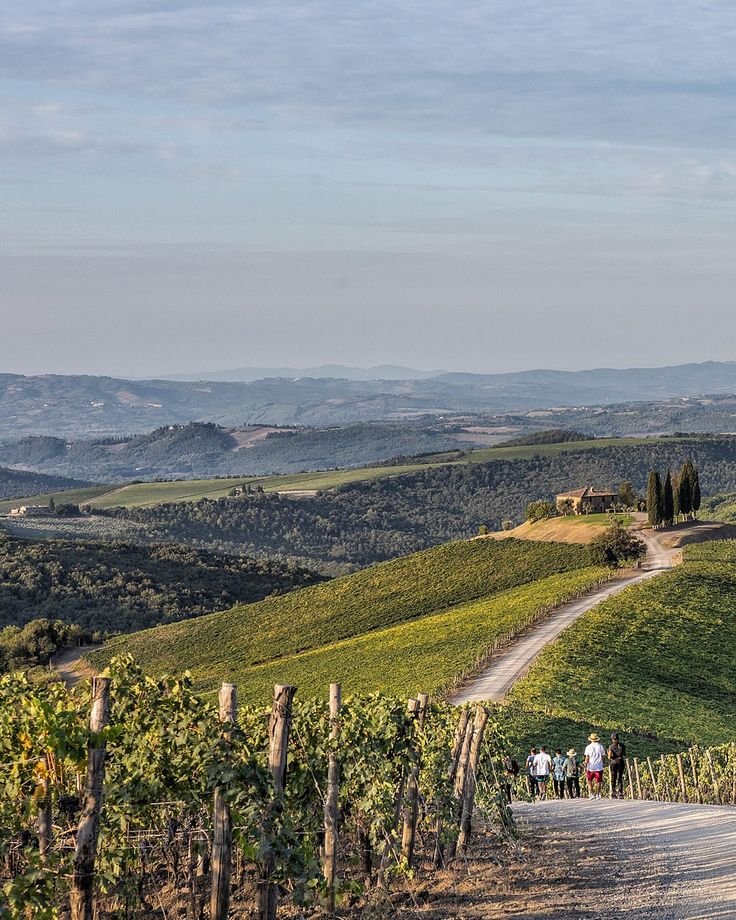 This may contain: a group of people standing on top of a dirt road next to a lush green hillside