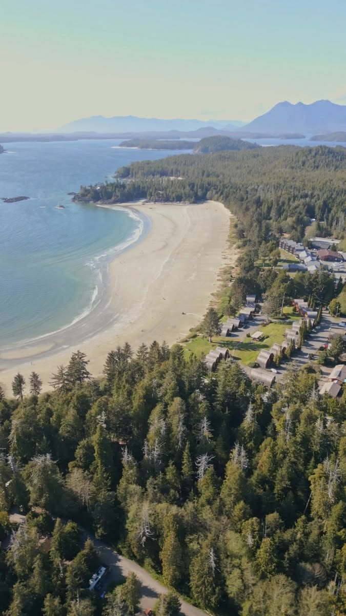 This may contain: an aerial view of the beach and trees