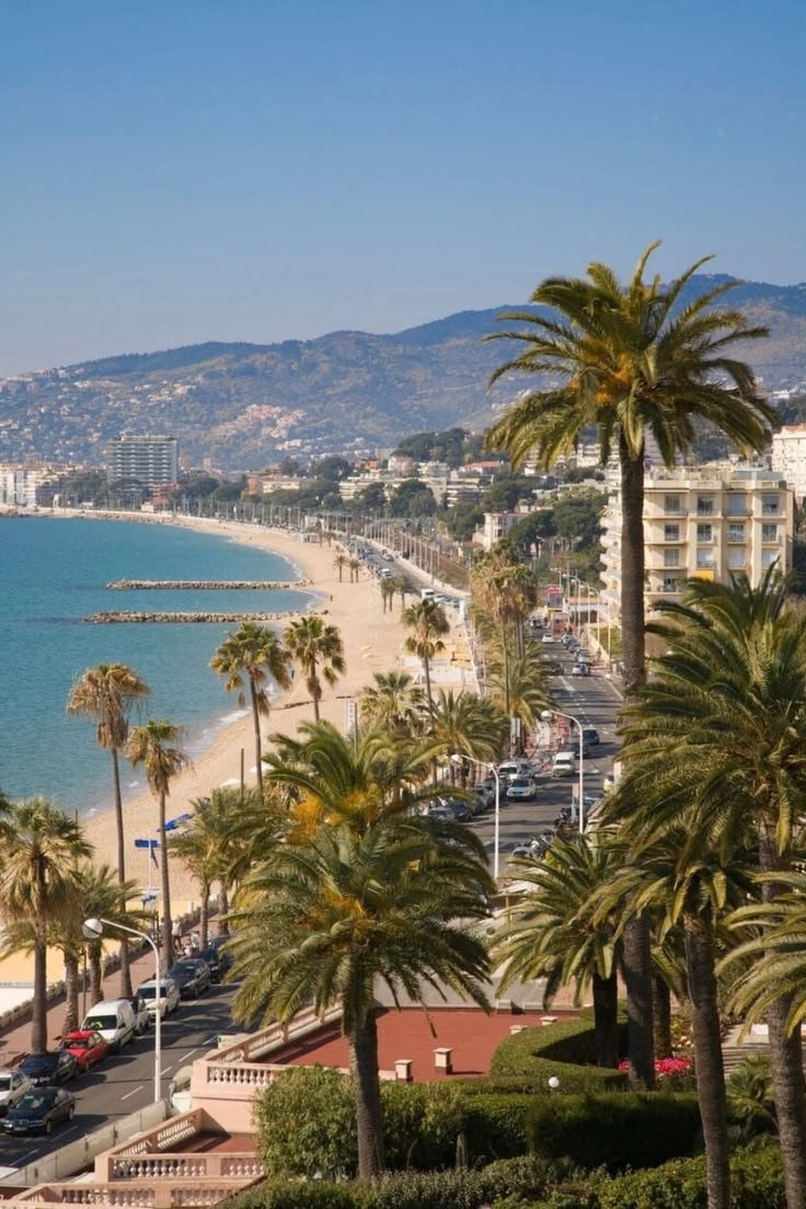 This may contain: the beach is lined with palm trees and parked cars