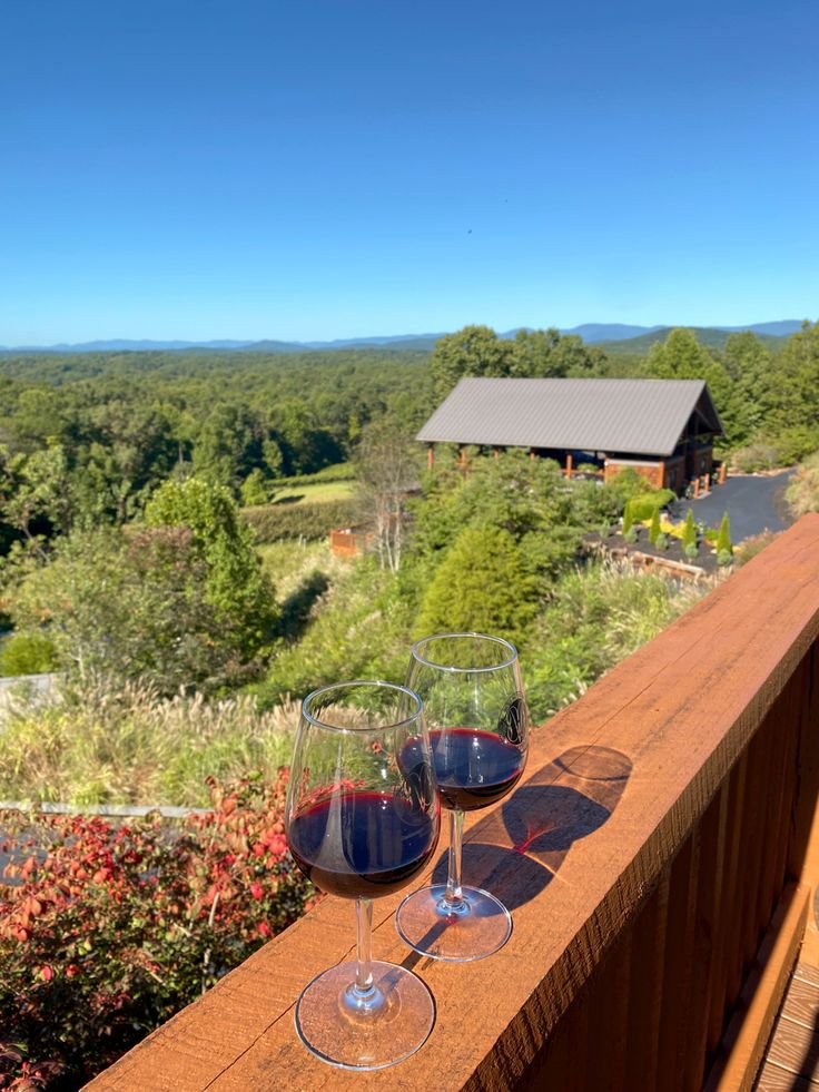 This may contain: two glasses of wine are sitting on a balcony overlooking the valley and trees in the distance