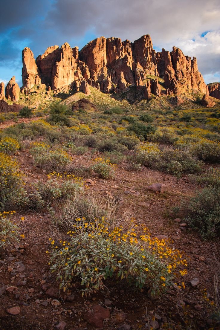 This may contain: the desert is full of tall rocks and plants with yellow flowers growing in front of them