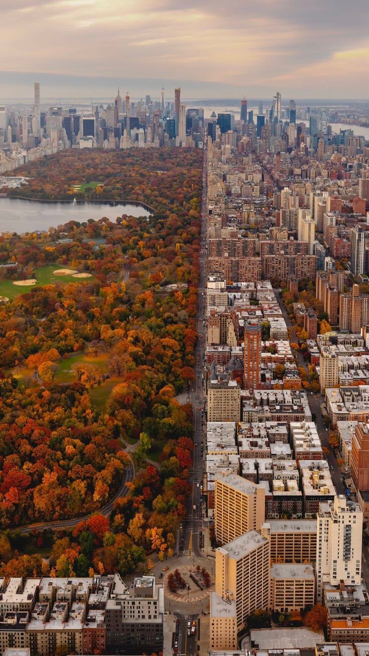 This may contain: an aerial view of new york city with autumn trees in the foreground