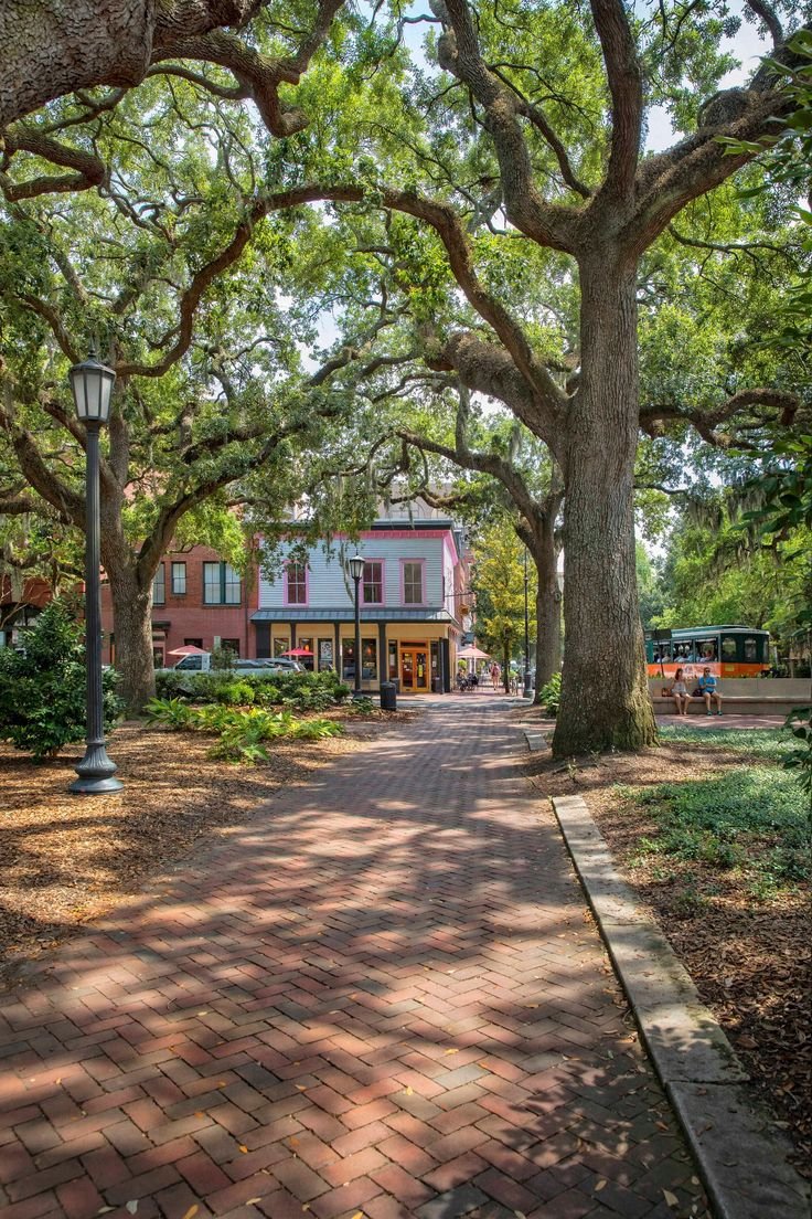 This may contain: an empty street with trees and buildings in the background, surrounded by brick walkways