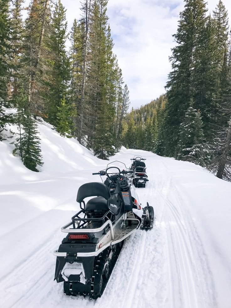 This may contain: two snowmobiles are parked on the side of a snowy road with pine trees in the background