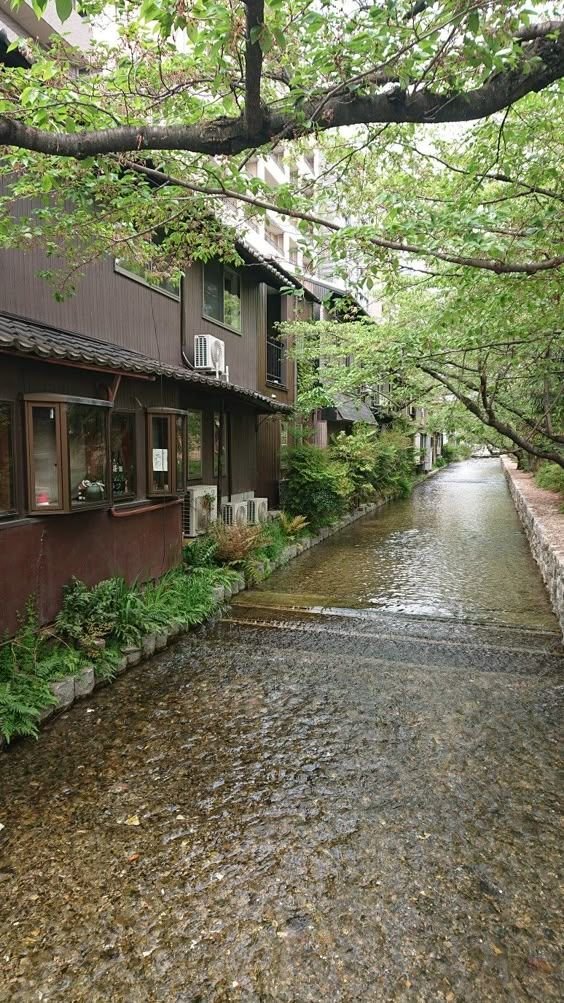 This may contain: a river running through a lush green forest next to tall brown buildings on either side