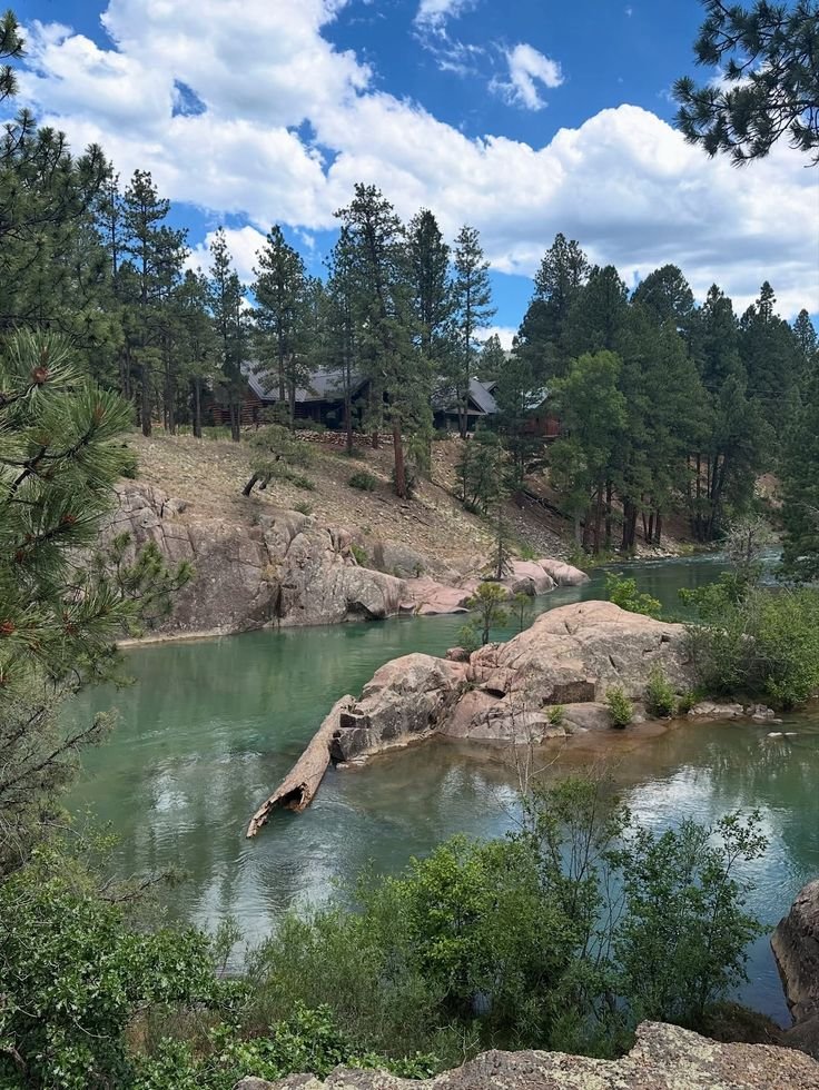This may contain: a river running through a forest filled with lots of rocks and trees on top of it