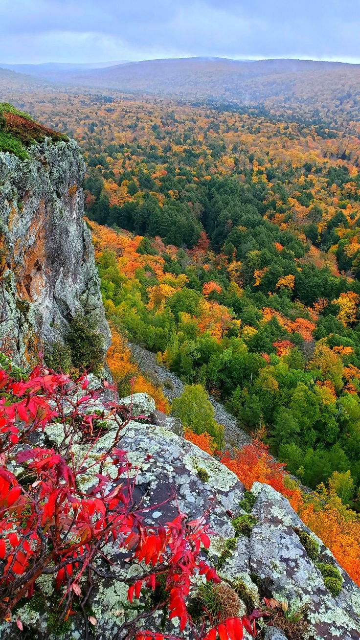 This may contain: an autumn view from the top of a mountain with trees and rocks in the foreground