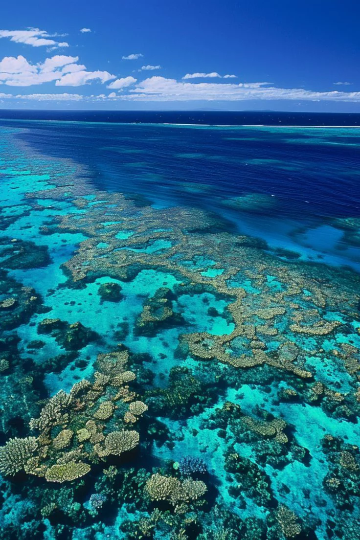 This may contain: an aerial view of the great barrier reef