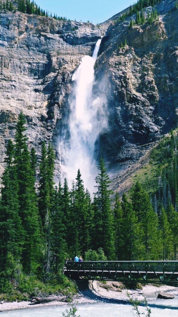 This may contain: a man standing on a bridge looking at a waterfall in the distance with trees around him