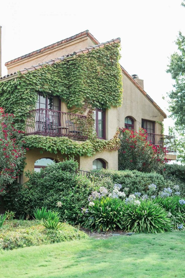 This may contain: a house covered in vines and flowers next to a lush green lawn with trees on both sides