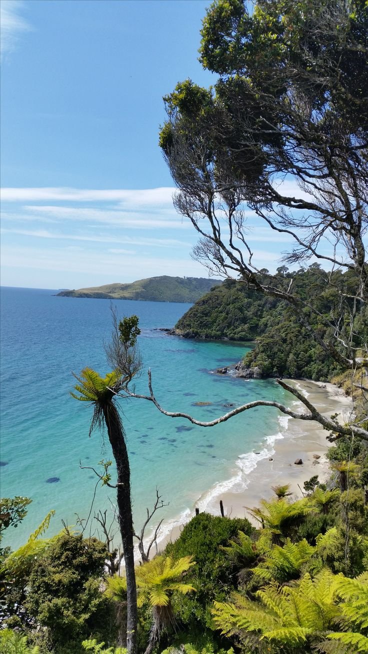 This may contain: the beach is surrounded by trees and water