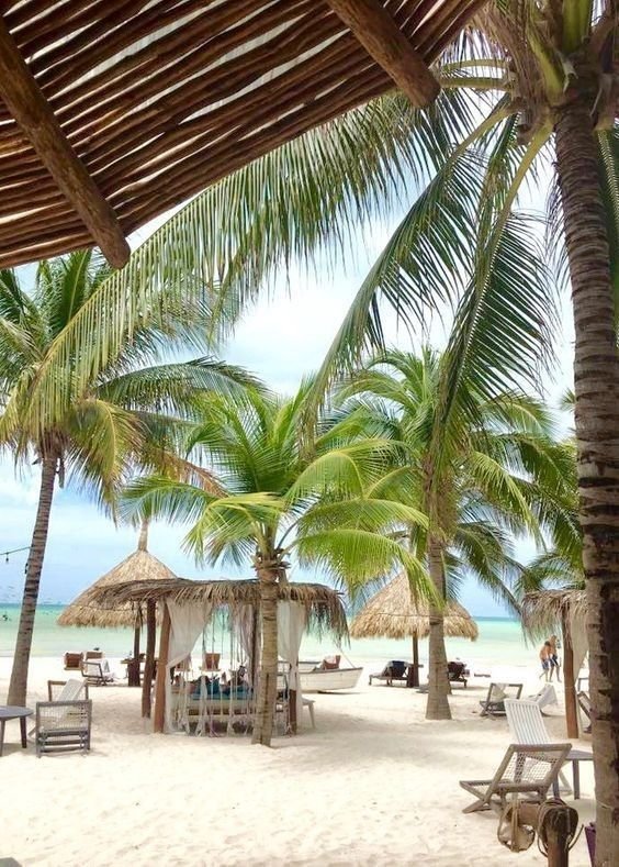 This may contain: the beach is lined with palm trees and thatched umbrellas for sunbathers