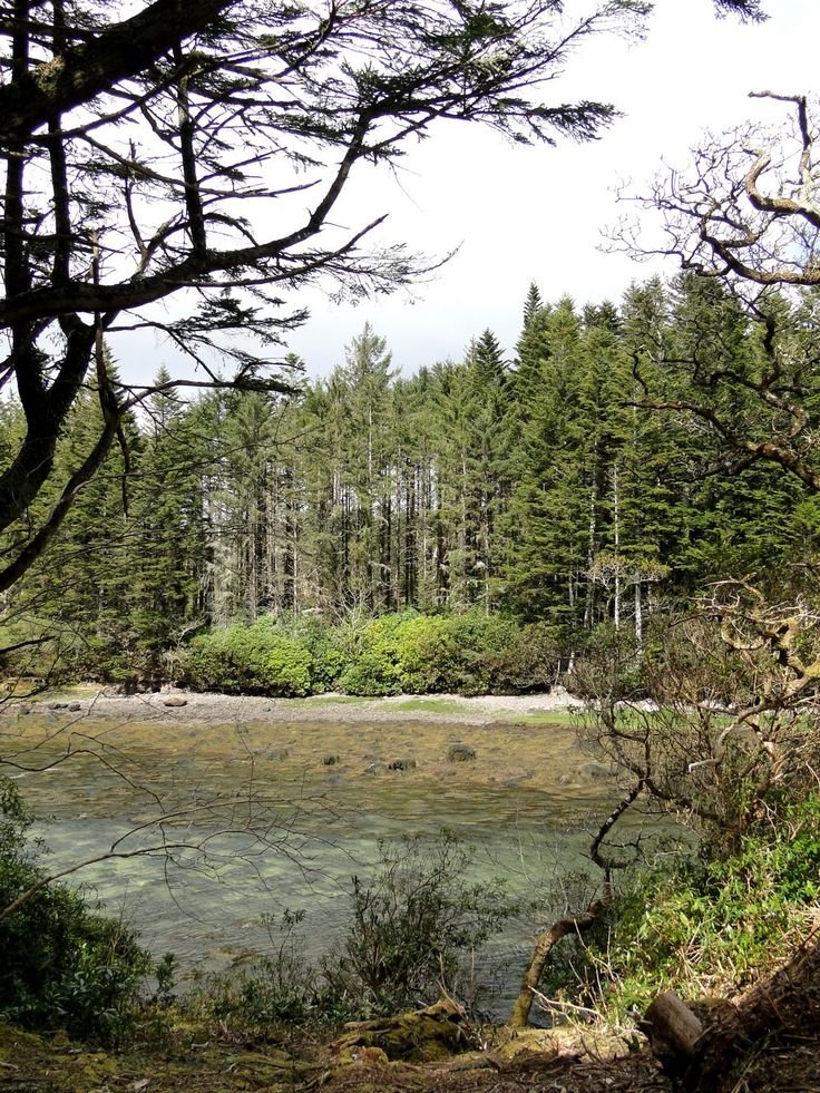 This may contain: the water is crystal clear and there are many trees in the area around it,