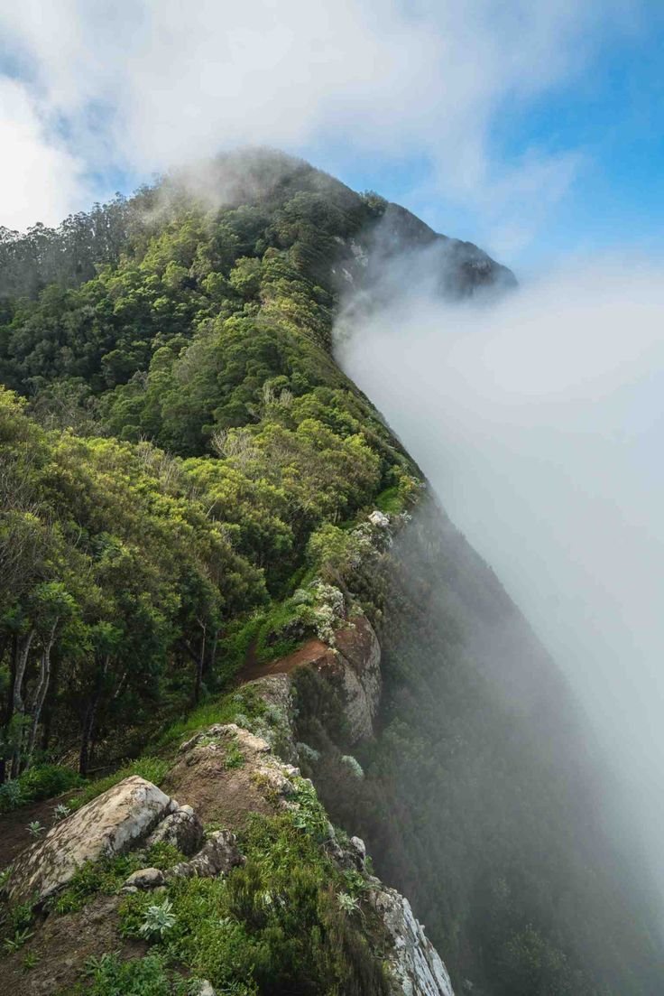This may contain: the top of a mountain covered in mist and clouds, with trees on both sides