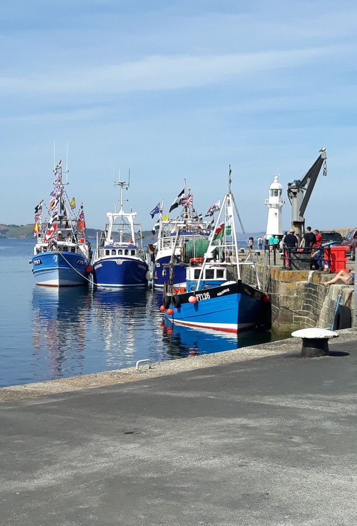 This may contain: there are many boats that are docked at the dock in the water and one is blue