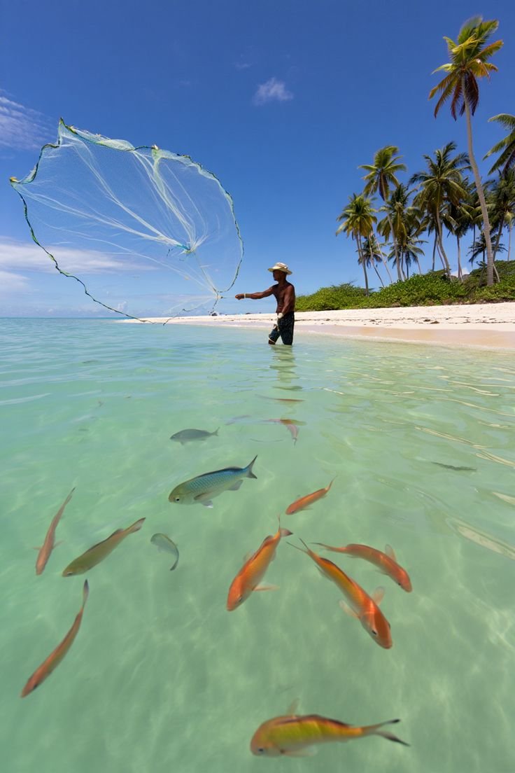 This may contain: a man standing in the water with a net over his head and fish swimming around him