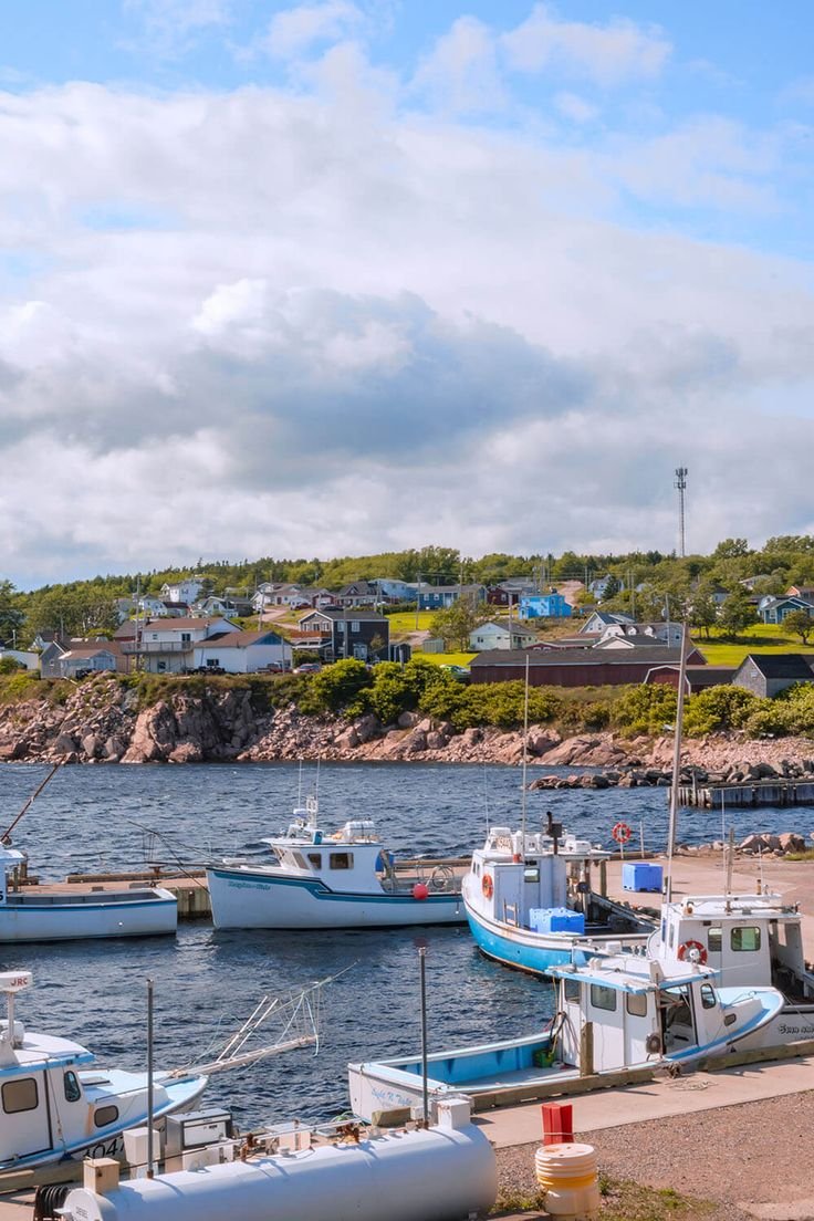 This may contain: there are many boats that are docked in the water near each other on the shore