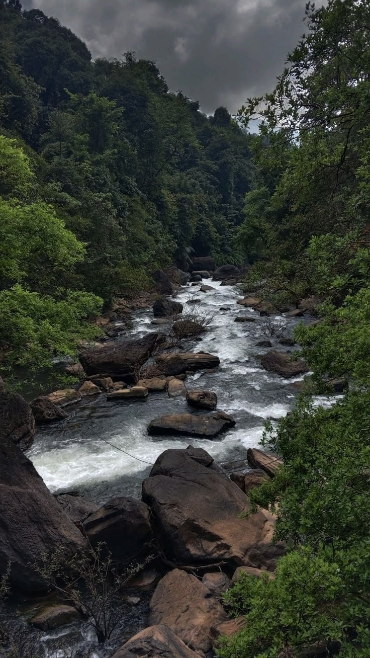 This may contain: a river running through a lush green forest filled with rocks and trees under a cloudy sky