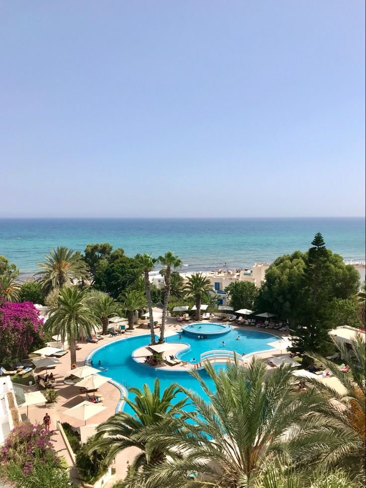 This contains: Tunis, Hammamet, sea, hotel, summer, pool, seaview, palm