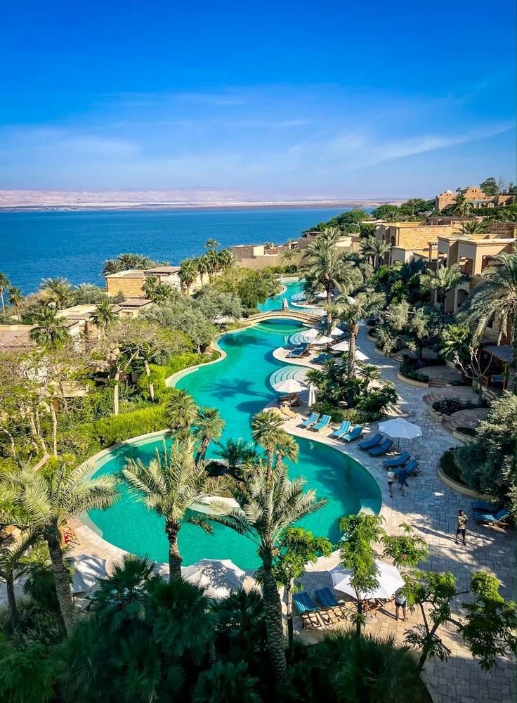 This may contain: an outdoor swimming pool surrounded by palm trees and the ocean in the background with blue sky