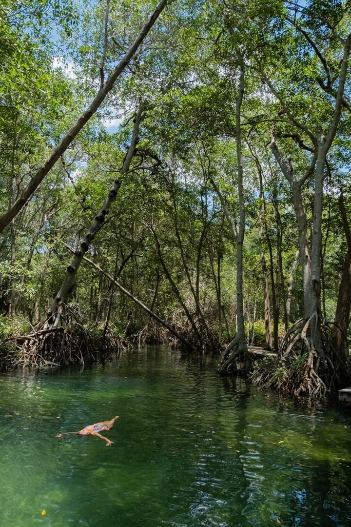 This may contain: a body of water surrounded by trees in the middle of a forest filled with lots of green