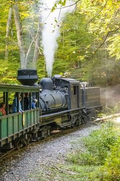 This may contain: people are riding on the back of a train as it travels through the woods and trees