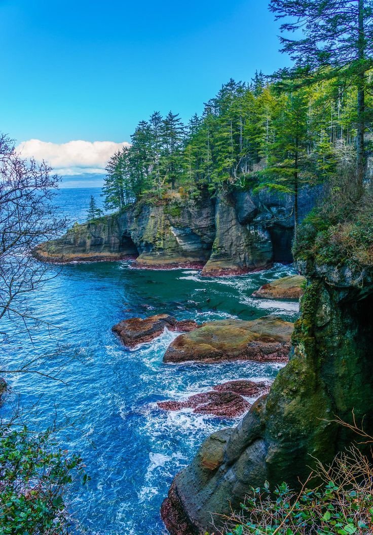 This may contain: an ocean view with rocks and trees in the foreground