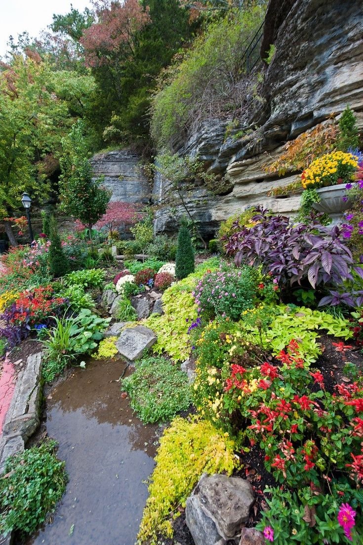 This may contain: the garden is full of colorful flowers and plants, along with large rocks in the background