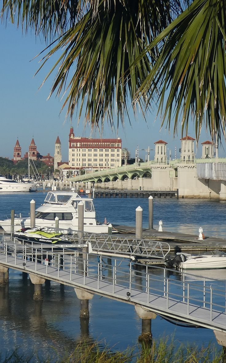 This may contain: boats are docked at the dock in front of a large building and palm leafy tree