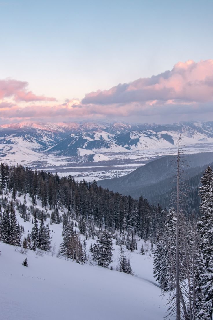This may contain: snow covered mountains and trees in the foreground, with pink clouds overhead at sunset
