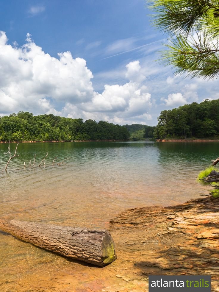 This may contain: there are many birds that are standing in the water at this lake, and one is sitting on a log