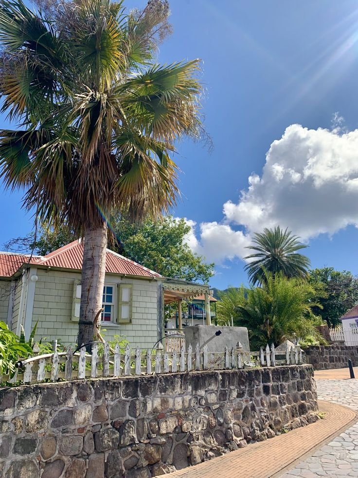 This may contain: a palm tree next to a stone wall and fence with a house in the background