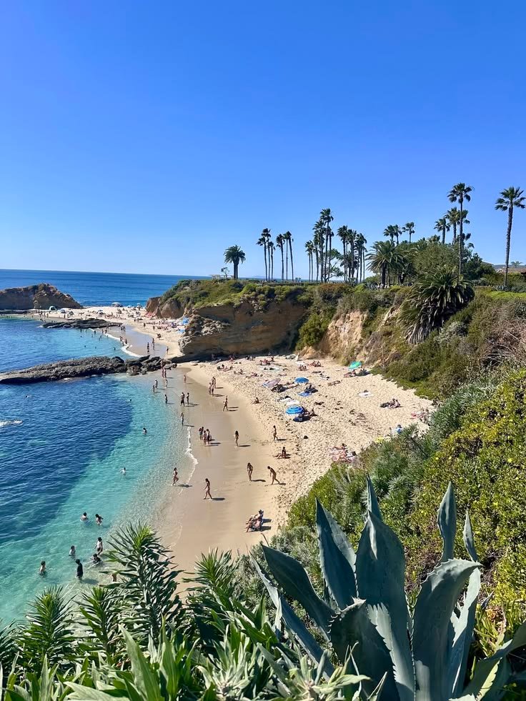 This may contain: the beach is crowded with people and palm trees