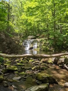 This may contain: a stream running through a lush green forest filled with lots of rocks and greenery