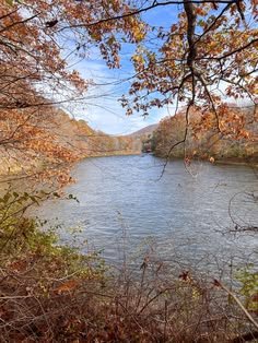 This may contain: a body of water surrounded by lots of trees and leaves on the side of it
