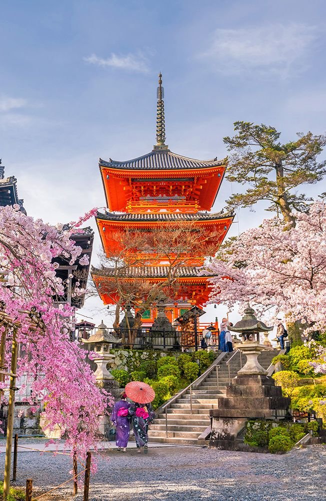 This may contain: two people with umbrellas walking in front of a tall pagoda surrounded by cherry blossom trees