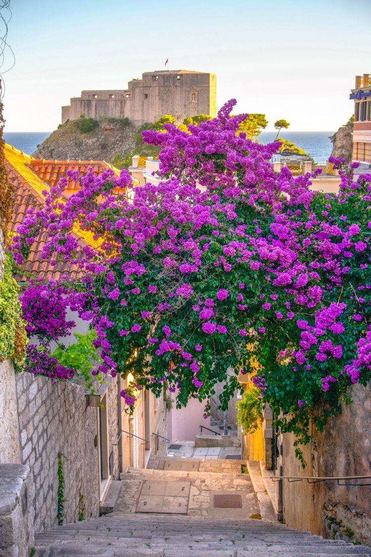 This may contain: purple flowers are growing on the side of an old stone building with stairs leading up to it