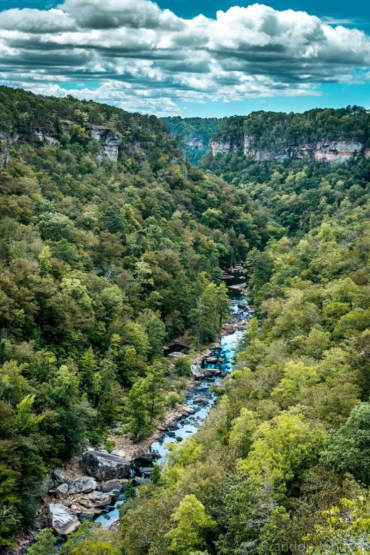 This may contain: a river flowing through a lush green forest filled with lots of trees and rocks under a cloudy blue sky
