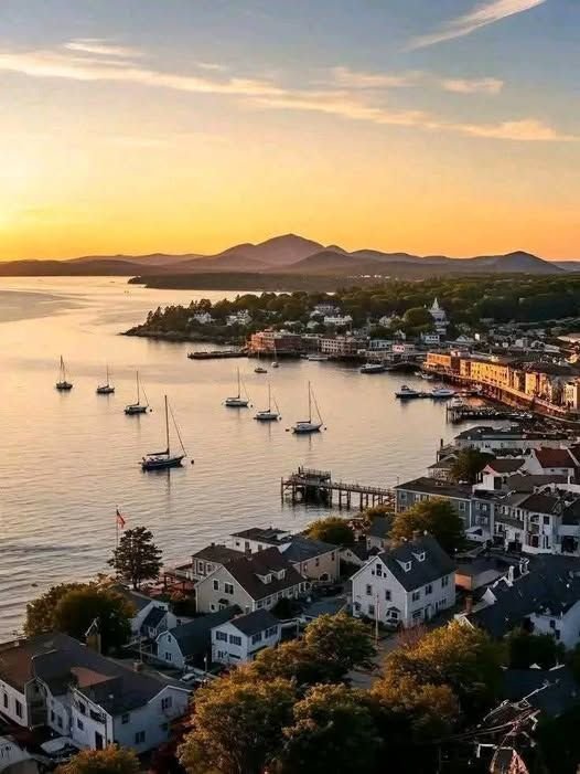 This may contain: an aerial view of a harbor with boats in the water and houses on the shore