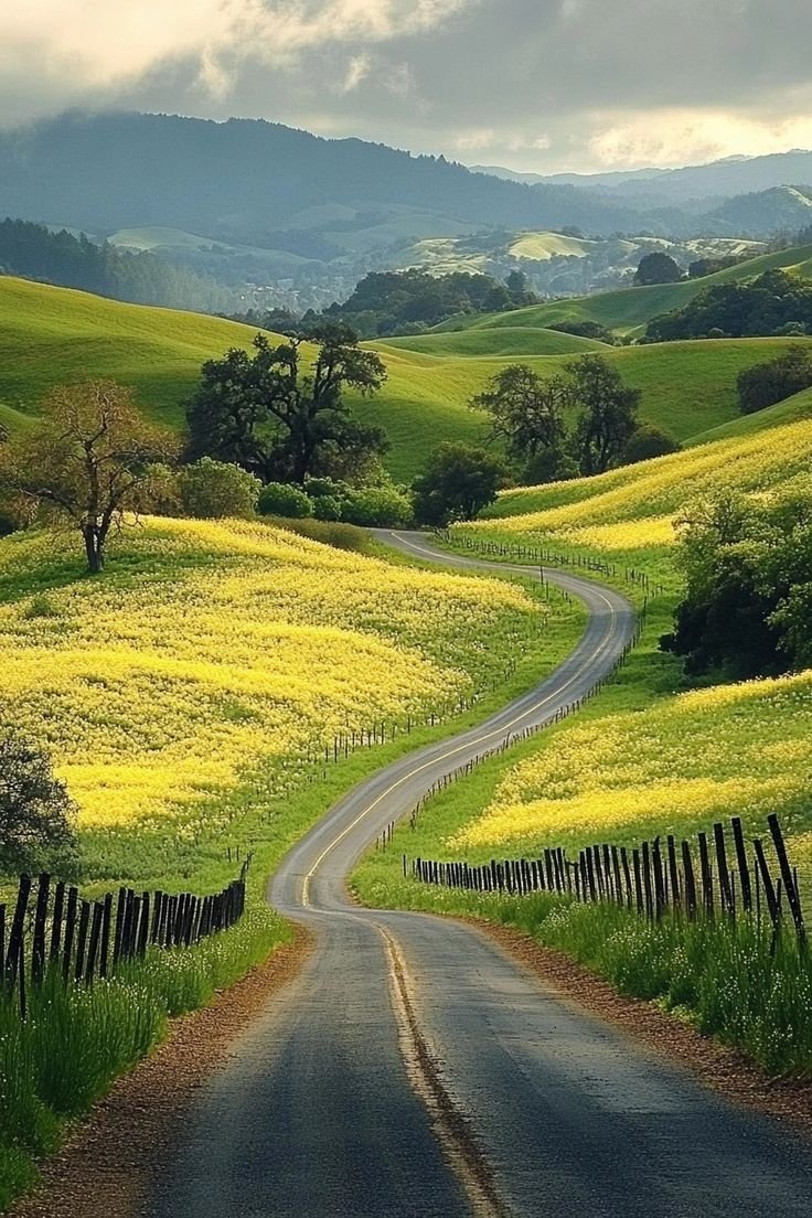 This may contain: a country road winding through a lush green field