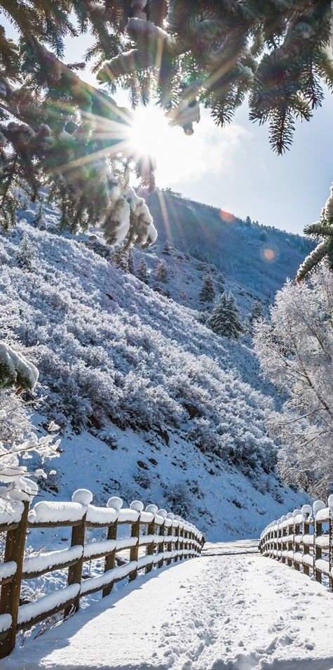 This may contain: the sun shines brightly on a snowy path