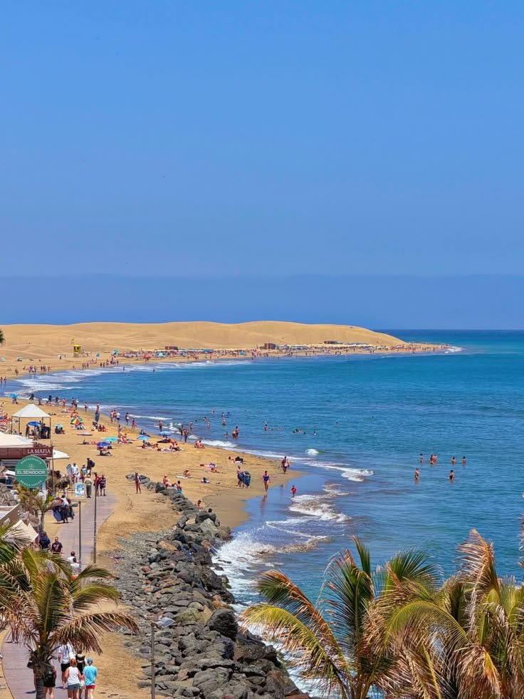 This may contain: the beach is crowded with people and palm trees