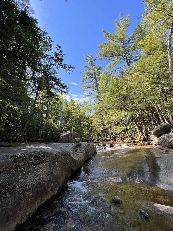 This may contain: a river running through a forest filled with lots of rocks and green trees in the background