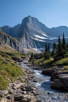 This may contain: a river running through a lush green forest filled with trees next to a tall mountain