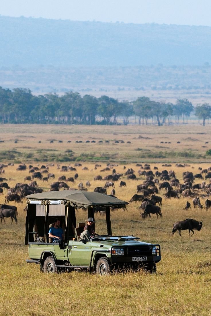 This may contain: people are riding in an open safari vehicle