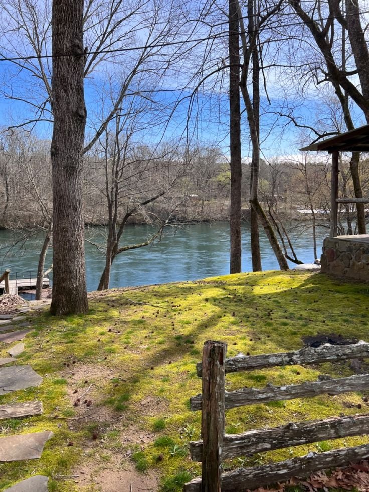 This may contain: a wooden bench sitting on top of a lush green hillside next to a river in the woods