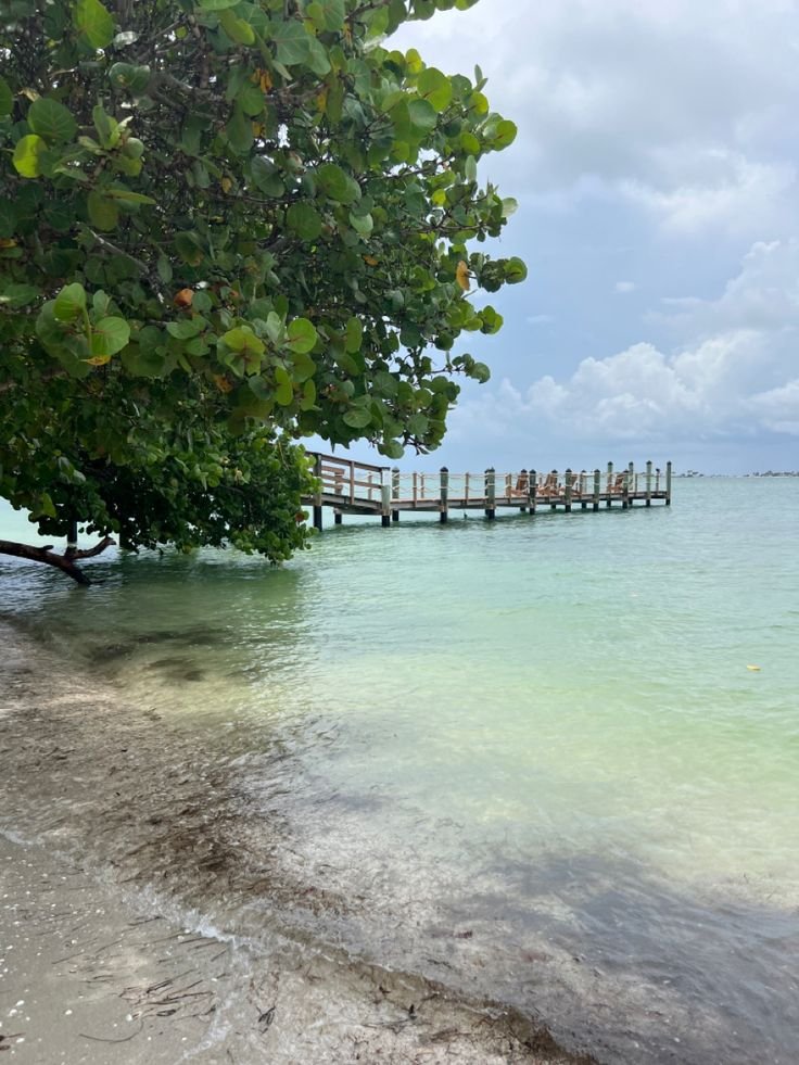 This may contain: the water is clear and blue with people walking on a wooden bridge in the distance